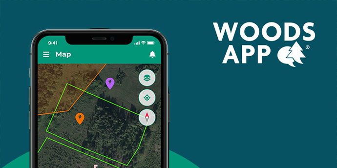 The birth of WoodsApp